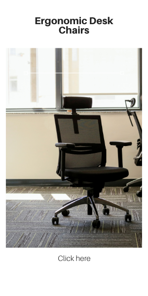 Ergonomic Desk Chairs